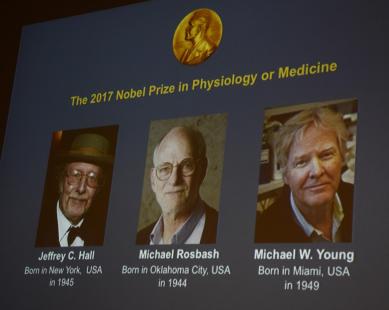 Prix nobel de médecine 2017 