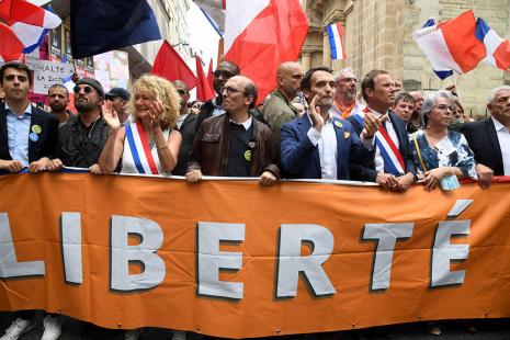 La députée Martine Wonner aux côtés de Francis Lalanne, l'avocat Fabrice Di Vizio, Florian Philippot, Nicolas Dupont-Aignan, lors d'une manifestation à Paris le 17 juillet 